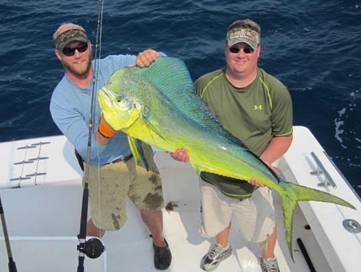 40lb Dolph