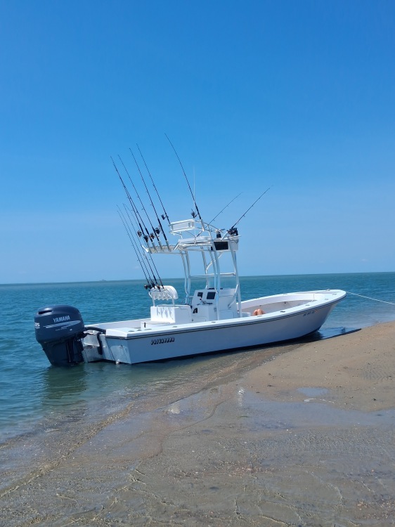 Last Cast