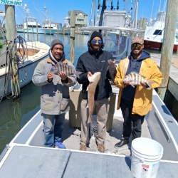 inshore
