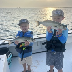 August 14, 2026