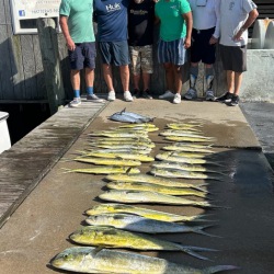 September 19,2026